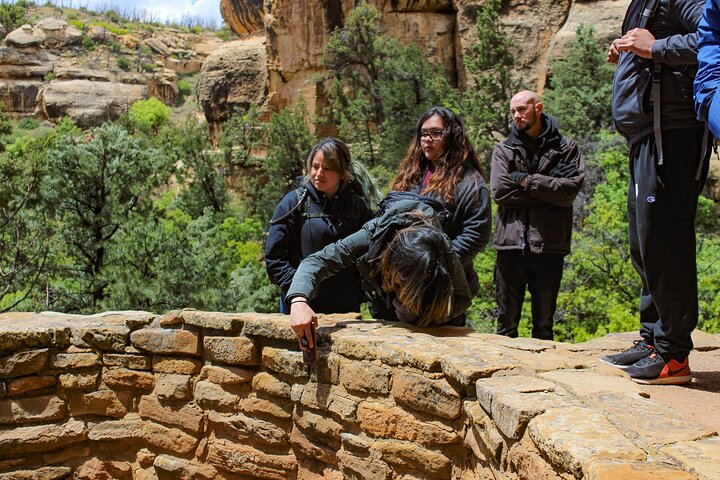 Mesa Verde Full Day Tour with Cliff Palace and Lunch