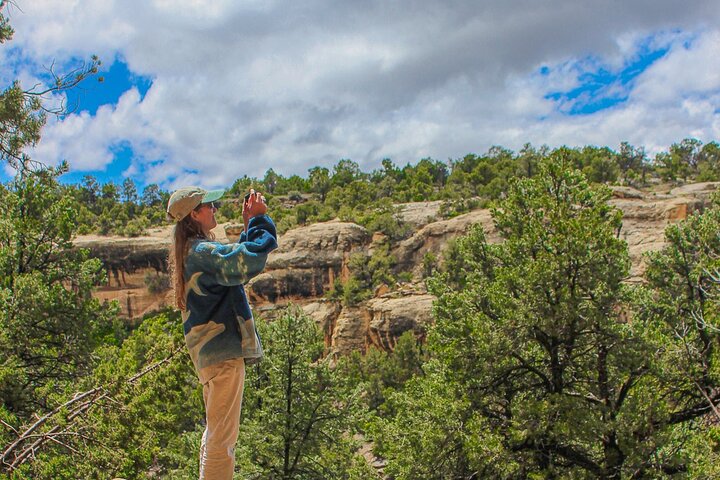Mesa Verde Full Day Tour with Cliff Palace and Lunch
