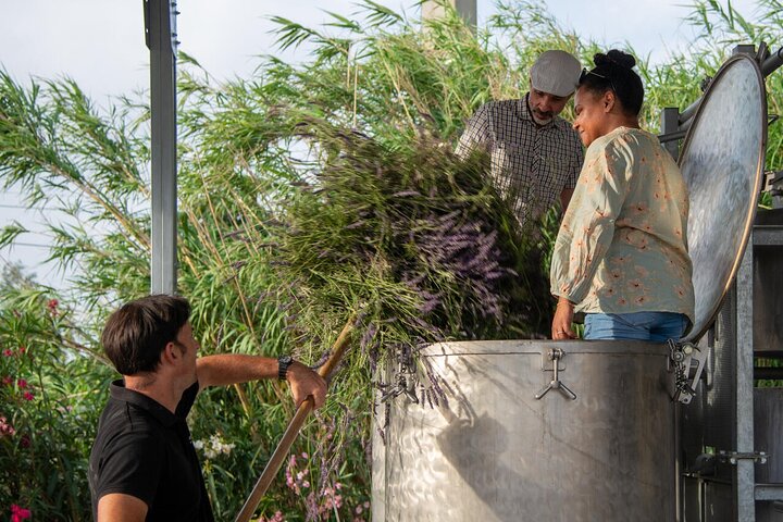 Lavender Harvesting and Distillation Workshop in Bellegarde
