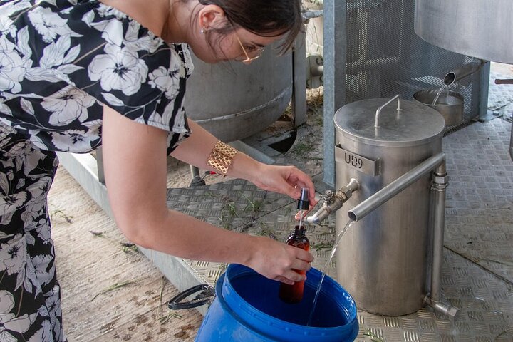 Lavender Harvesting and Distillation Workshop in Bellegarde