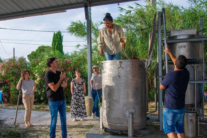 Lavender Harvesting and Distillation Workshop in Bellegarde