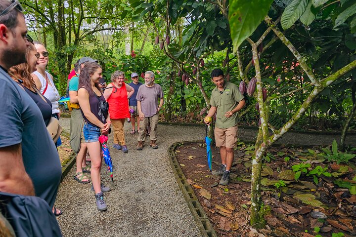 North Fields Cafe: Craft Specialty Coffee and Chocolate Tour
