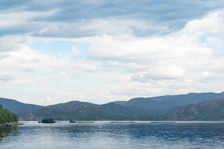 Stavanger: Waterfalls, Caves and Rock Tour By Sea