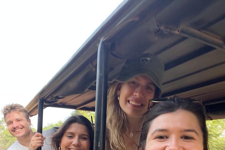 Half Day Safari Guided Tour