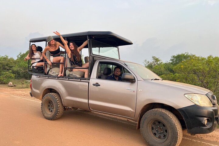 Half Day Safari Guided Tour