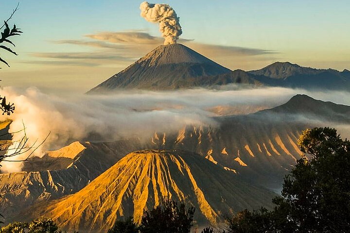 From Yogyakarta: Mount Bromo Sunrise and ijen crater Blue Fire - 3 Days