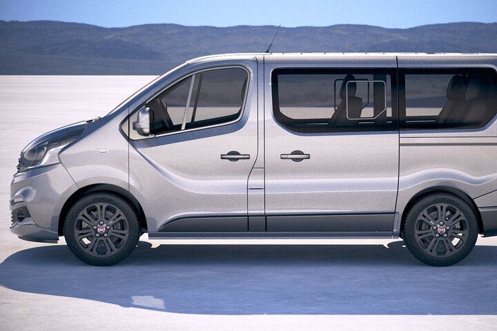 Private Departure from Lourdes City to Lourdes Airport LDE by Van