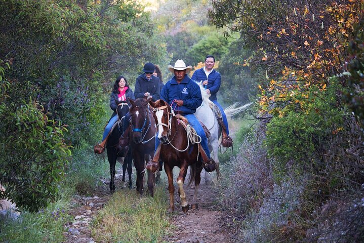 Private Shore Excursion: Beach or Canyon Horseback + Bufadora opt