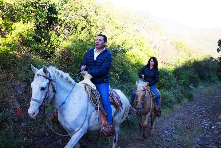 Private Shore Excursion: Beach or Canyon Horseback + Bufadora opt