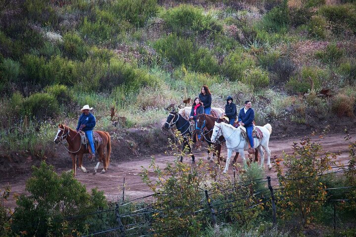 Private Shore Excursion: Beach or Canyon Horseback + Bufadora opt