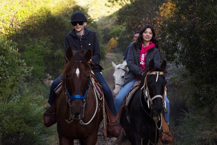 Private Shore Excursion: Beach or Canyon Horseback + Bufadora opt