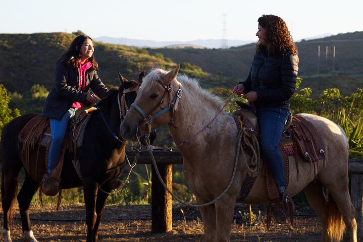 Private Shore Excursion: Beach or Canyon Horseback + Bufadora opt