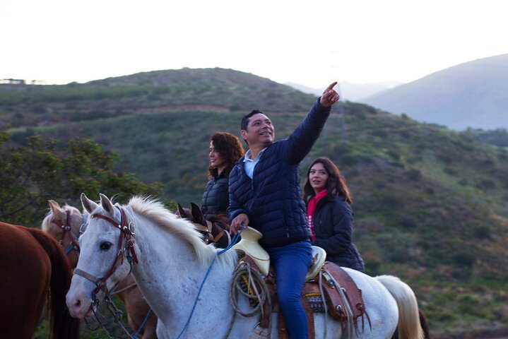 Private Shore Excursion: Beach or Canyon Horseback + Bufadora opt