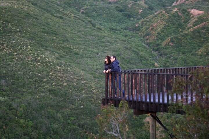 Private Shore Excursion: Beach or Canyon Horseback + Bufadora opt