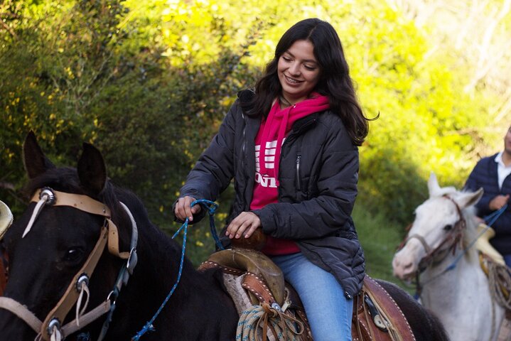 Private Shore Excursion: Beach or Canyon Horseback + Bufadora opt