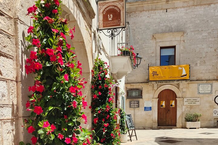 Tour : Alberobello, Ostuni, Locorotondo : Local Guide & Lunch