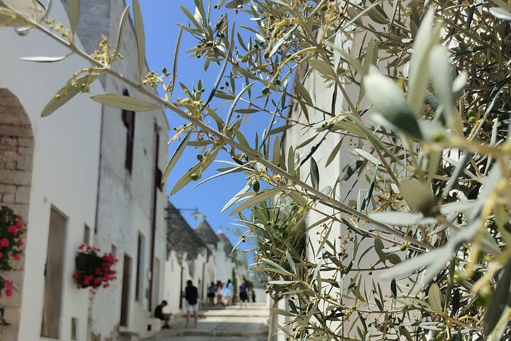 Tour : Alberobello, Ostuni, Locorotondo : Local Guide & Lunch