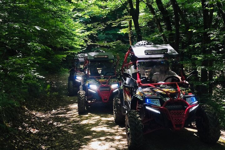 Quad Buggy Excursion Tour