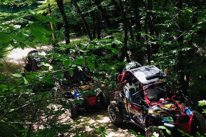 Quad Buggy Excursion Tour