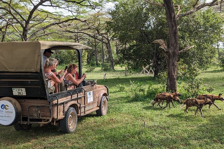 From Zanzibar: Selous Game Reserve Day Safari with Flights
