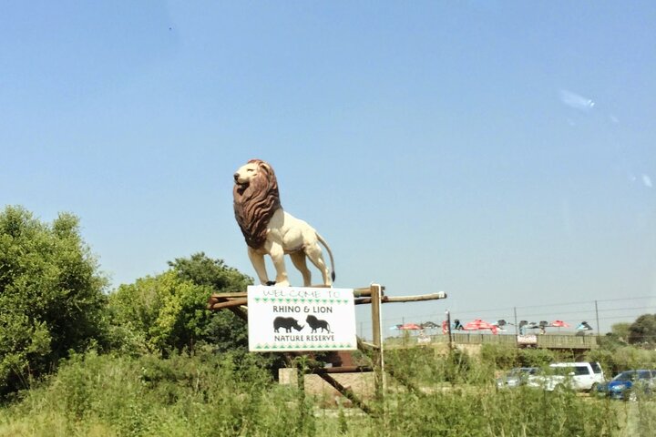 Rhino and Lion Park Safari Tour