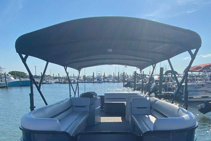 Chincoteague's Up The Bay Pony and Wildlife Tour by Boat