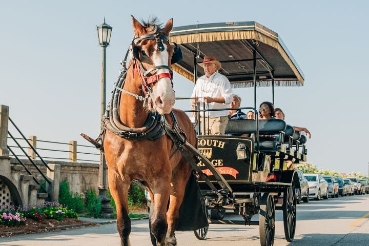 Day Trips to Charleston#7 See Ft Sumter,CarriageTour,Lunch & more