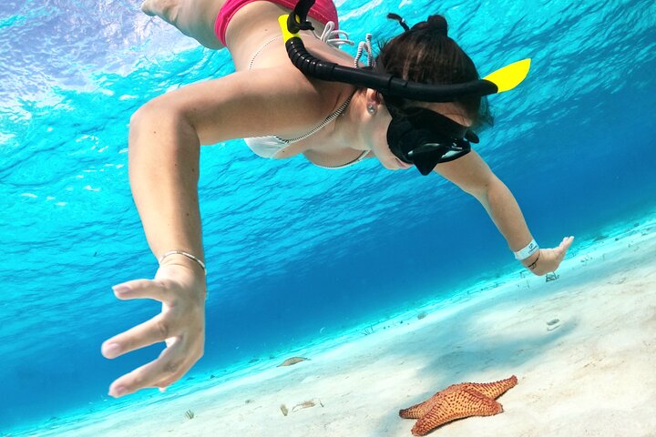 4 Hour Cozumel Turtle Sanctuary Experience on a Luxury Catamarán