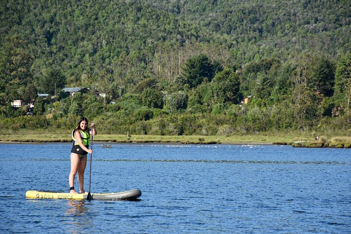 SUP and Kayak crossings by Valdivia