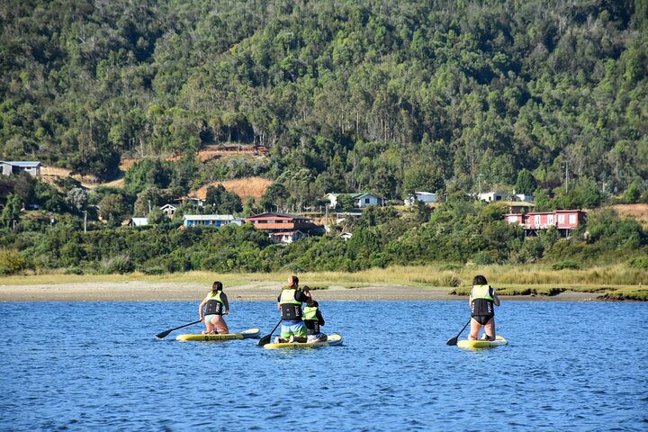 SUP and Kayak crossings by Valdivia