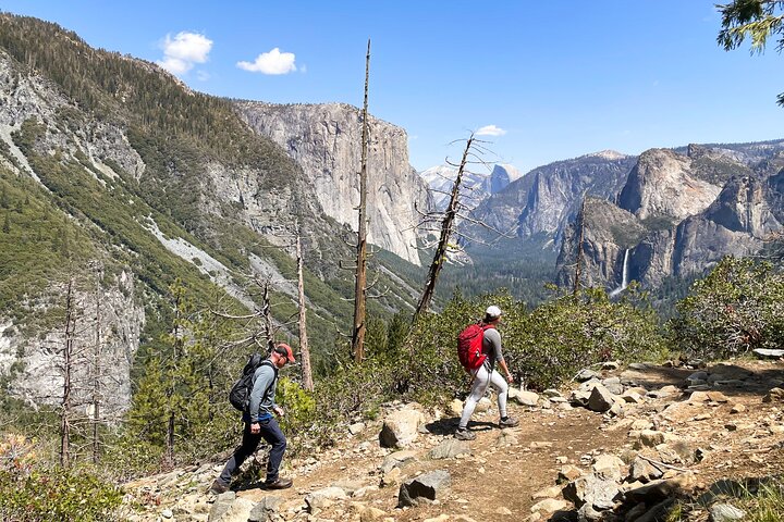 Waterfalls of Yosemite - Customizable Private Tour