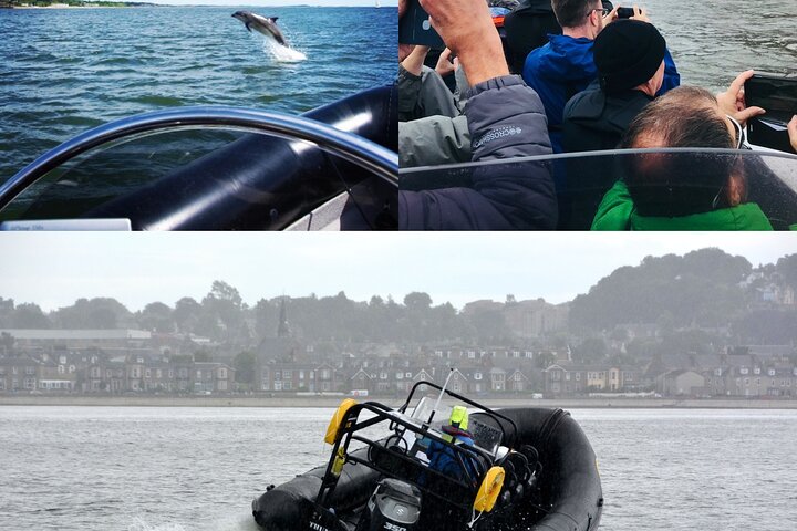 Boat Seafari Adventure