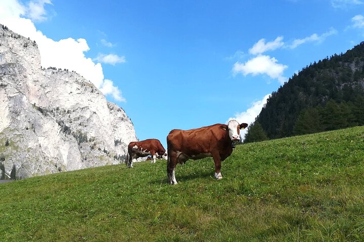 The Grand Dolomites Tour from Lake Garda