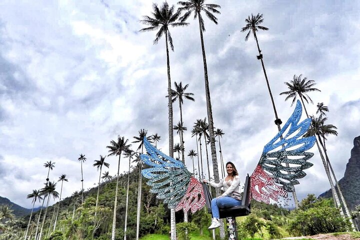 Filandia, Salento and Cocora Valley Tour