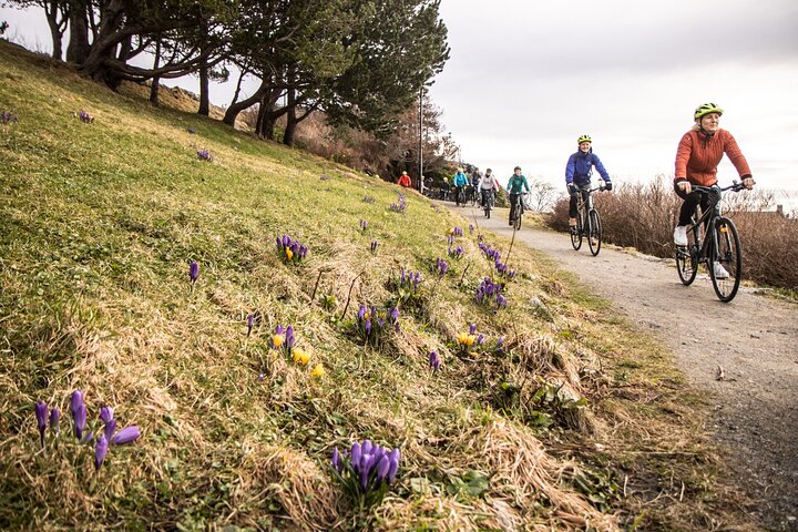 E-bike And Hiking Tour In Ålesund