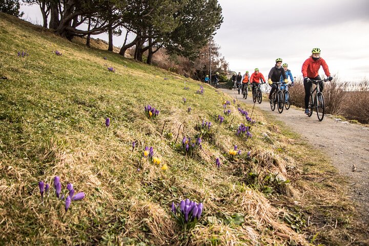 E-bike And Hiking Tour In Ålesund