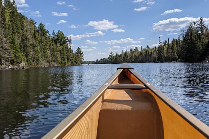 Guided Tours Algonquin Park