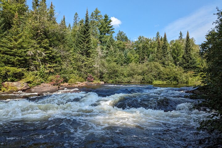 Guided Tours Algonquin Park