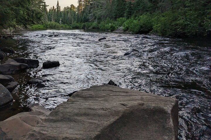 Guided Tours Algonquin Park