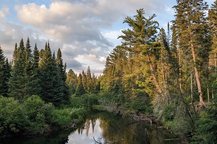 Guided Tours Algonquin Park