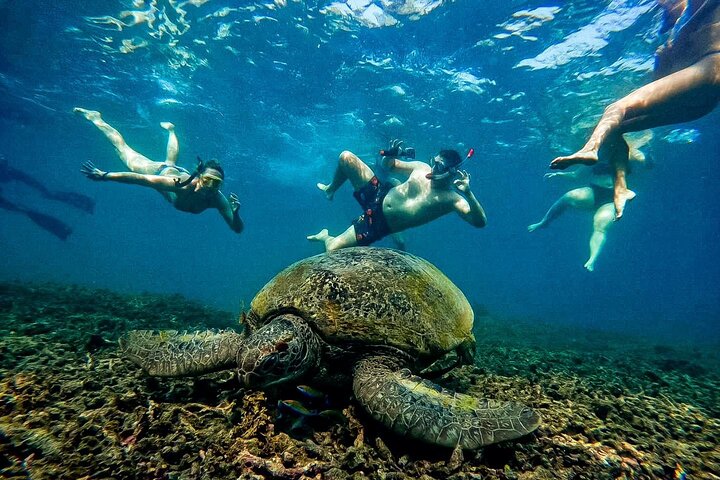 Koh Tao’s Top Snorkeling Spots by Vintage Wooden Boat