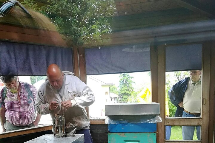 Lake Molveno and Grappa Distillery Tour with Tastings
