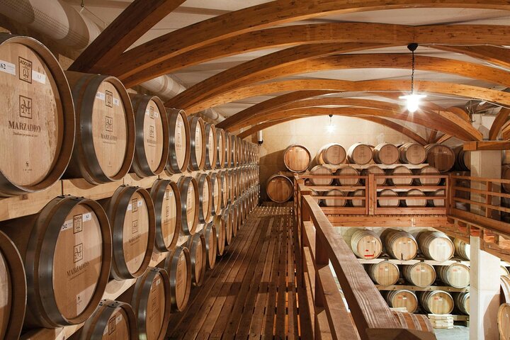 Lake Molveno and Grappa Distillery Tour with Tastings