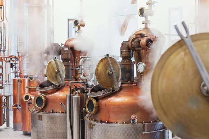 Lake Molveno and Grappa Distillery Tour with Tastings