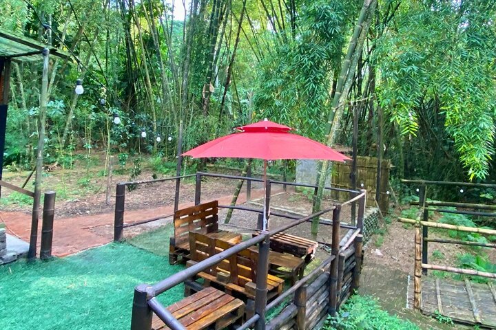 Chocolate & Coffee farm Cruiseship Tour in Manta