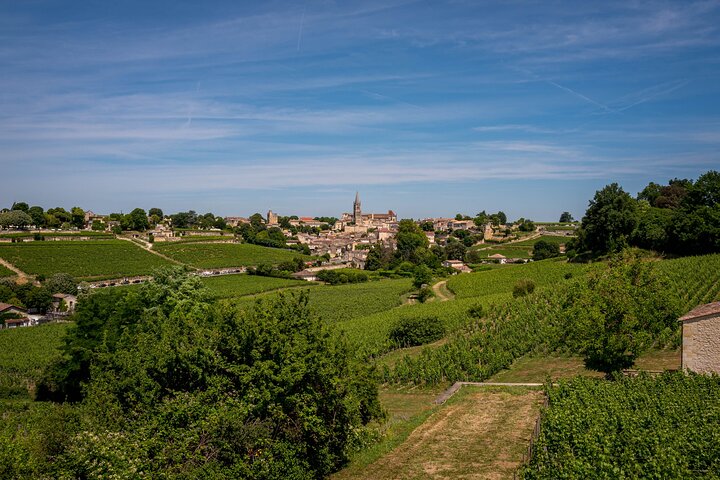 Saint Emilion Half Day Ebike and Wine Tour with Picnic.