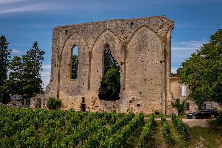 Saint Emilion Half Day Ebike and Wine Tour with Picnic.