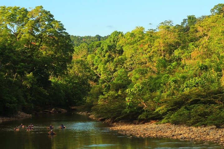 Exclusive 3-Day All-Inclusive Amazon Adventure in Napo Province