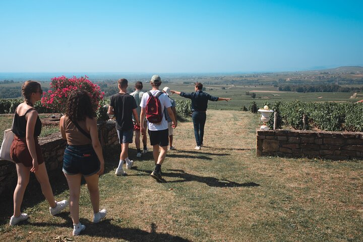 Private Half Day Wine Tour from Lyon in Beaujolais