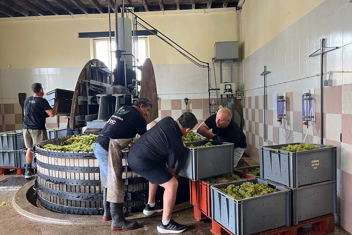 Bubble Champagne Tour from Epernay (Small group half day tour)